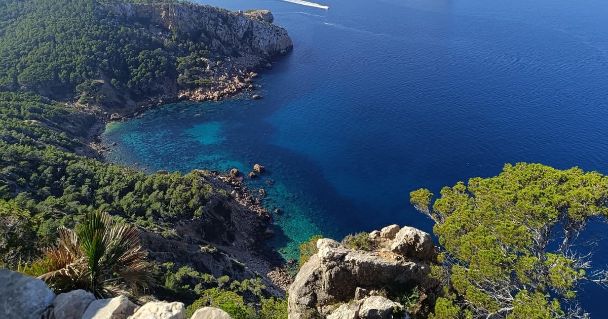 Ruta de senderismo por la costa de Mallorca y degustación local con vistas a Dragonera