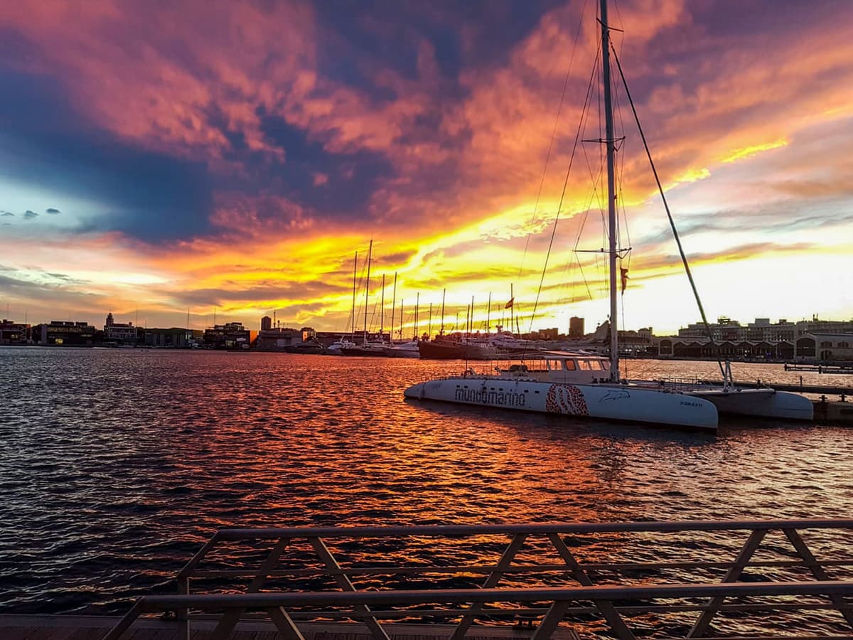 Valencia: crucero en catamarán con opción de puesta de sol y DJ.