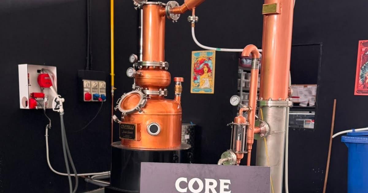 Rome: Guided distillery tour with tasting of gin and/or various spirits