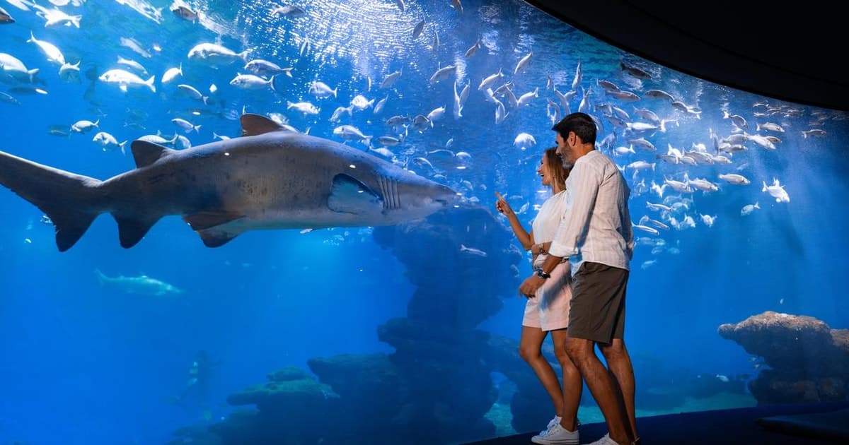 Mallorca: Ticket de entrada al Palma Aquarium con cine 3D opcional