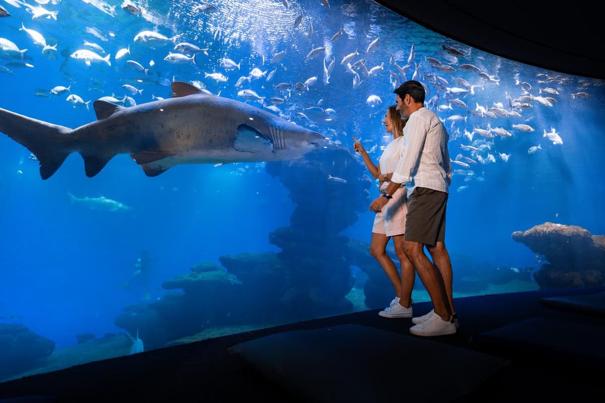 Mallorca: Ticket de entrada al Palma Aquarium con cine 3D opcional