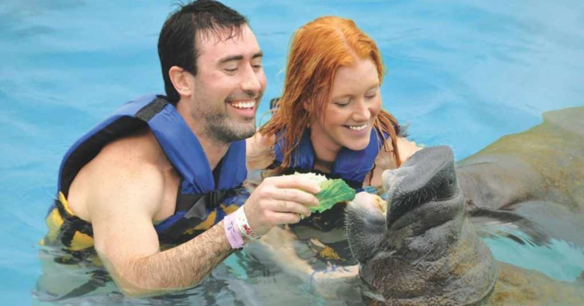 Cozumel: encuentro con manatíes y parque Chankanaab