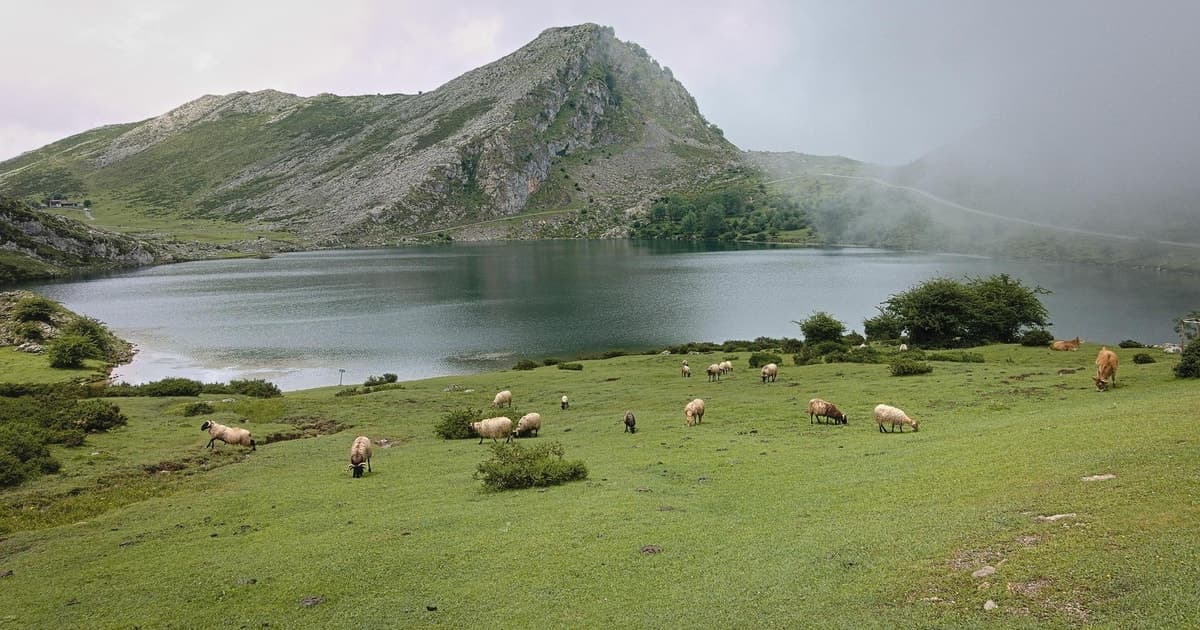 Excursión a los lagos de Covadonga, Cangas de Onís en grupo reducido