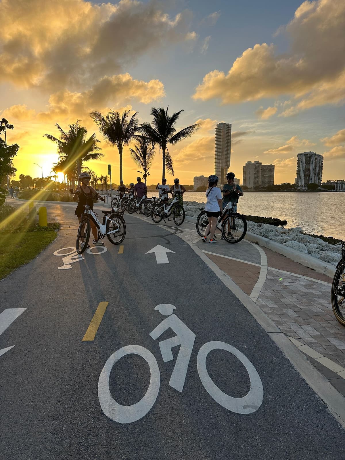 Miami: E-bike tour with local guide