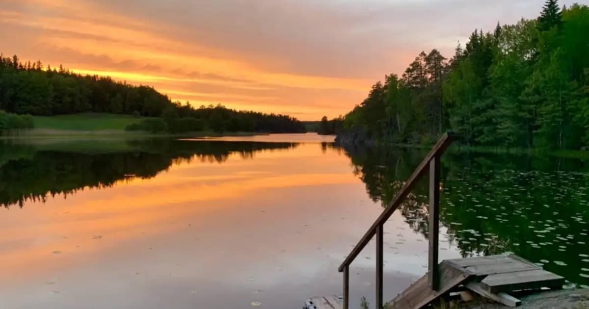 Estocolmo: ruta de senderismo al atardecer en el Parque Nacional de Tyresta con comida