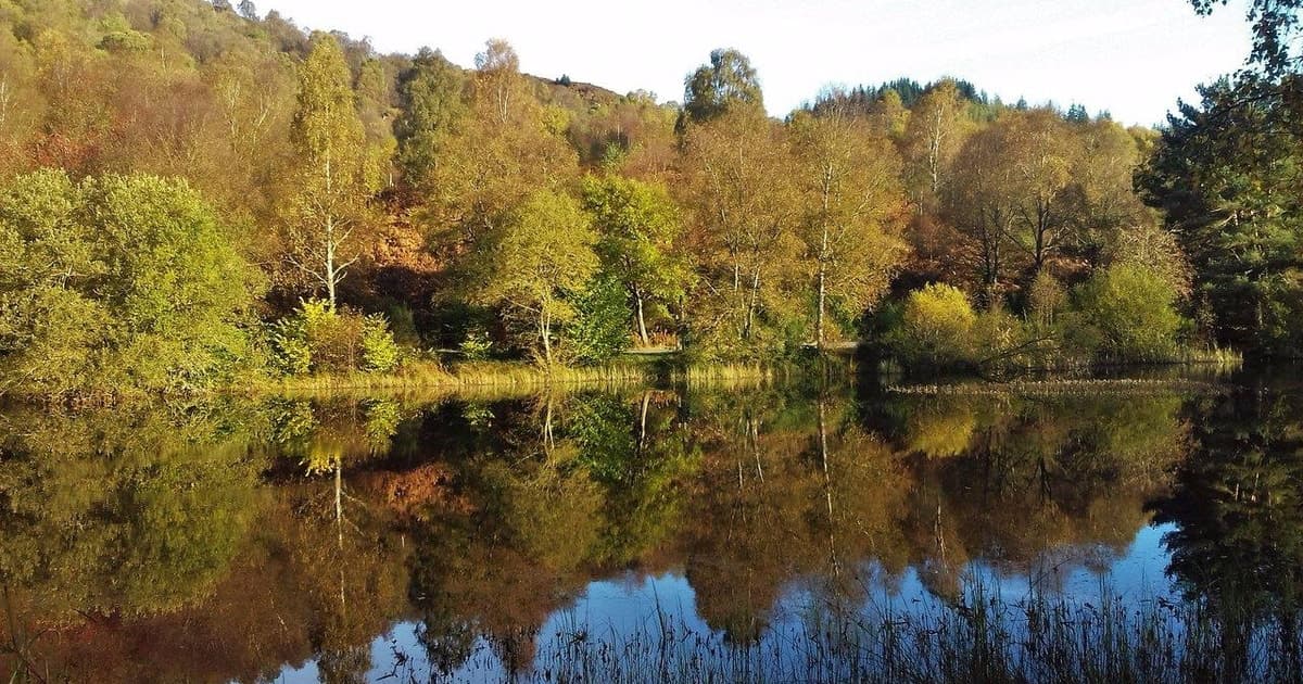 Glasgow Shore Excursion: - Loch Lomond - Stirling Castle
