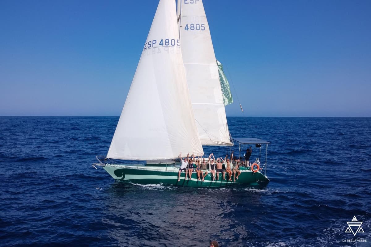 Valencia: tour en barco con energía solar, medio día o día completo