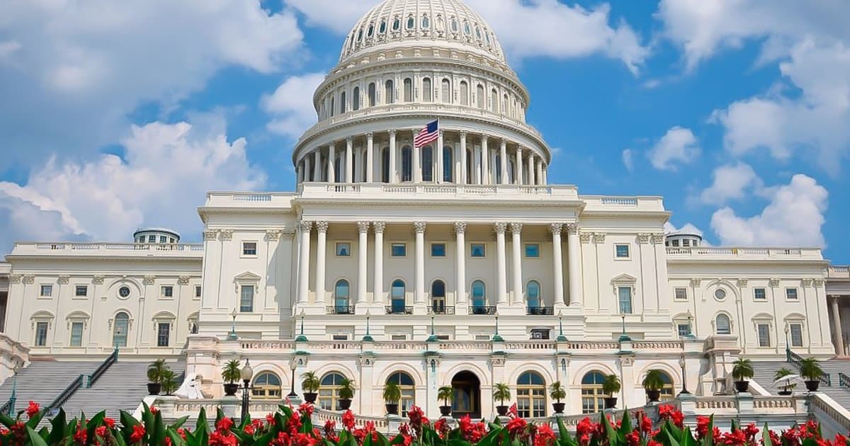 From NYC: Guided Day Trip to Washington DC by Van or Bus