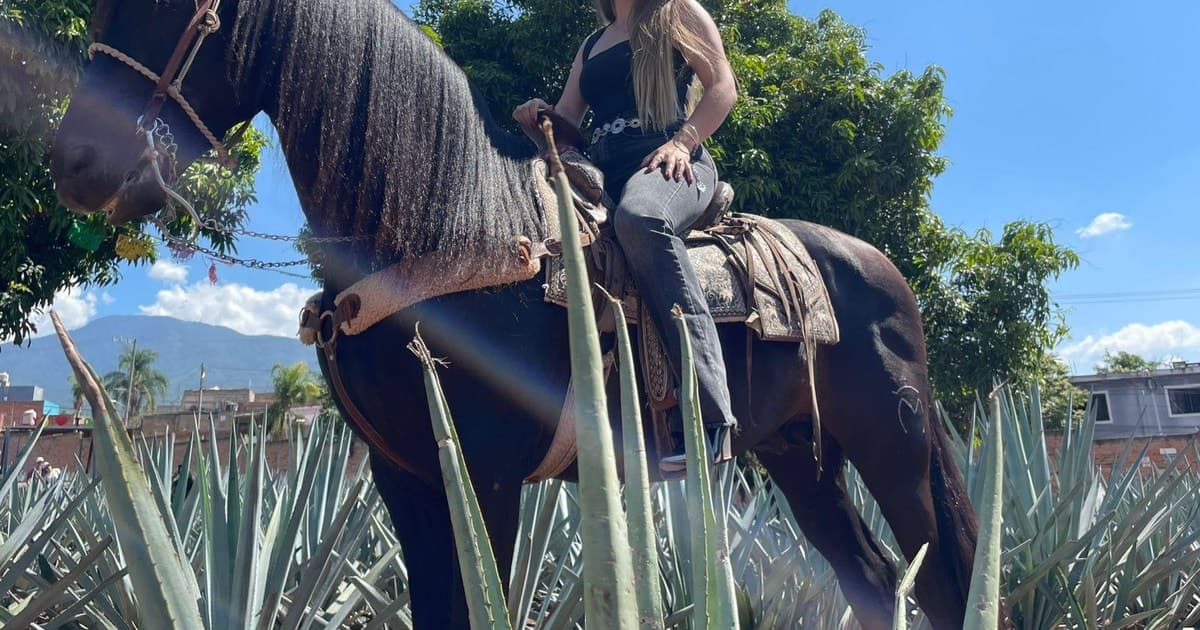 Desde Guadalajara: Pueblo de Tequila y Cantaritos El Guero