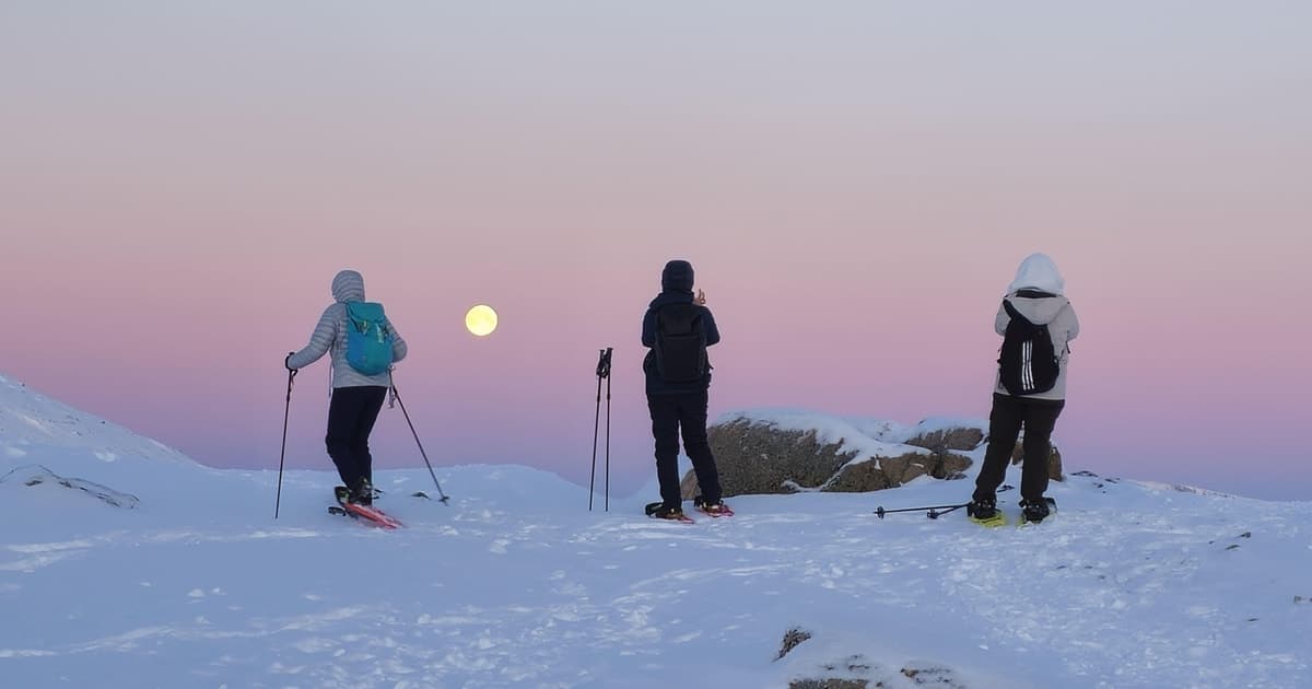 Desde Tromsø: ruta de senderismo con raquetas de nieve en el Ártico