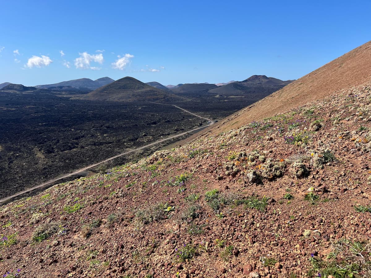 Lanzarote: Ruta guiada a pie para descubrir la historia y la cultura de los volcanes.