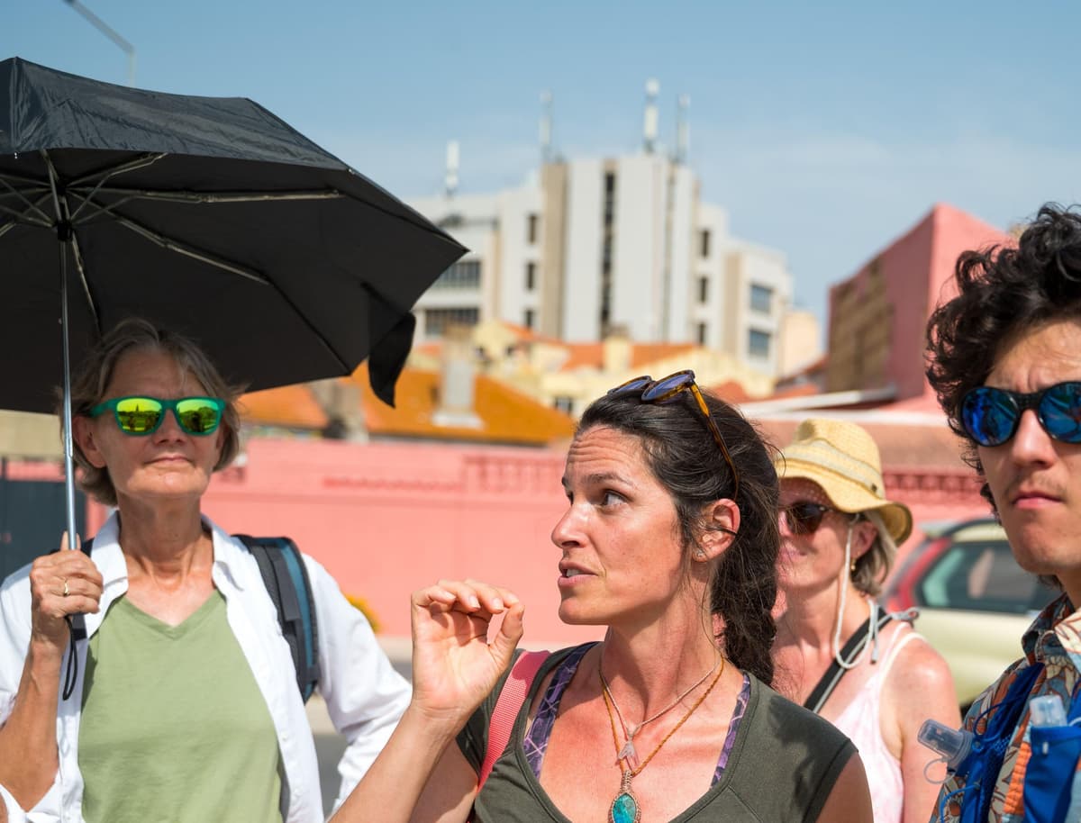 Lisbon: São Jorge Castle & Alfama Tour with Official Guide