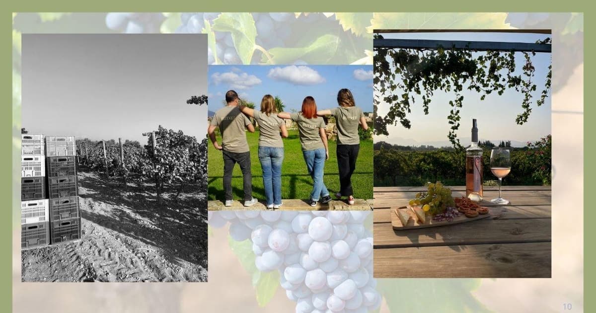 Mallorca: visita a los viñedos y bodega Butxet con cata