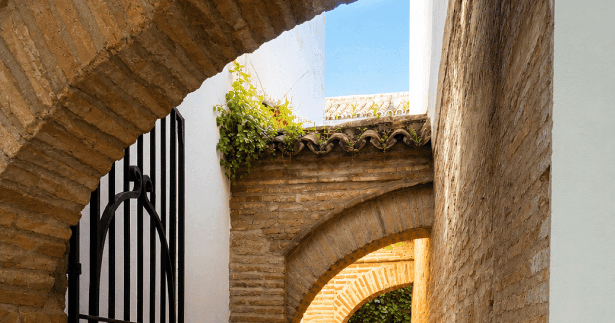 Tour por los Patios, la Judería y la Sinagoga de Córdoba