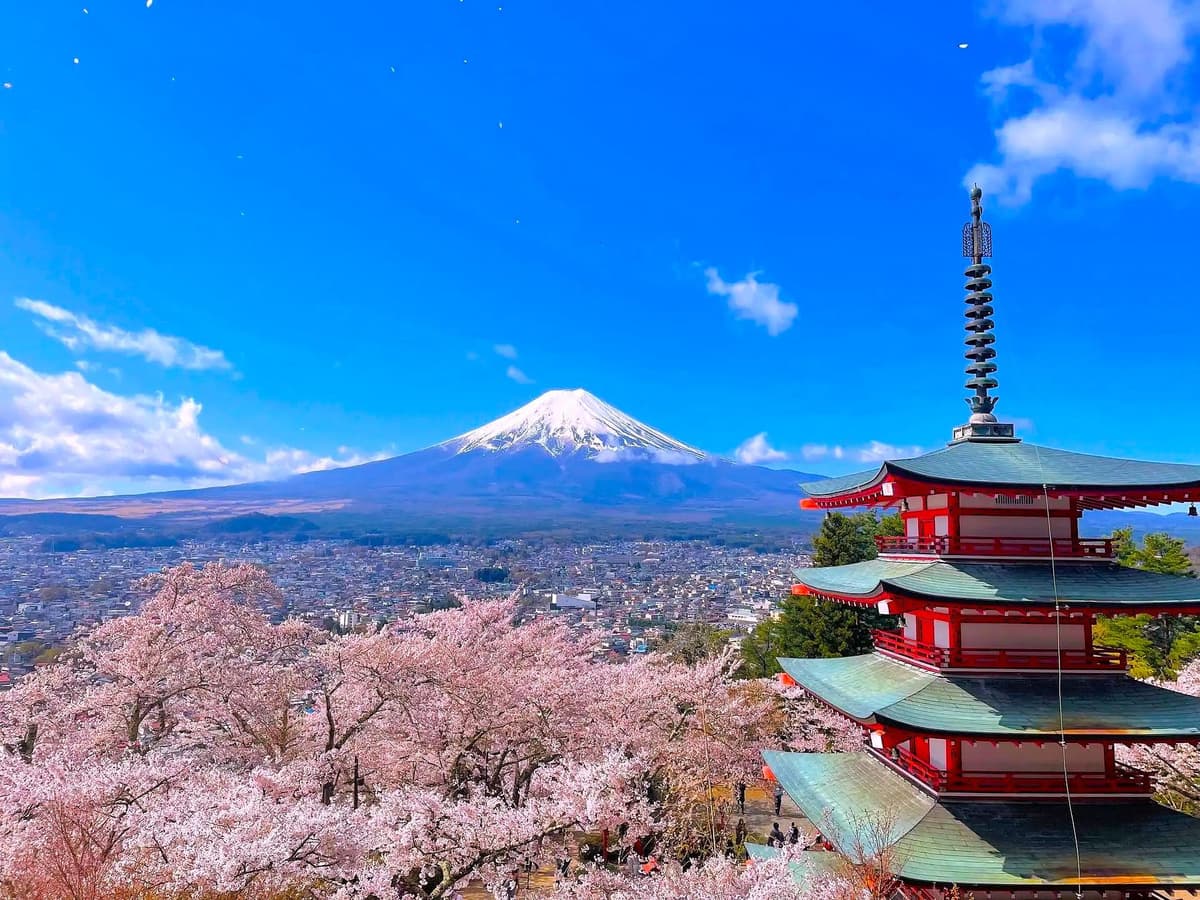 Tokyo: Mt Fuji, Lake Cruise and Noodles Making Experience