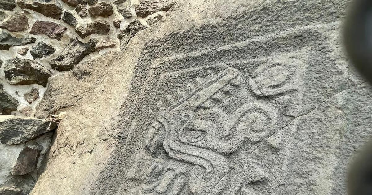Xochimilco: chinampas, ajolotes y yacimiento arqueológico de Cuahilama