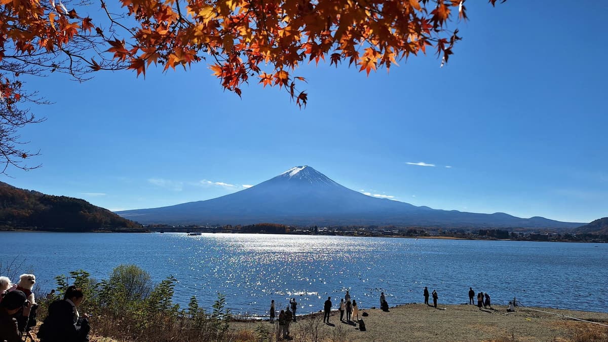 Private Tour: Mt. Fuji, Big Buddha & Lake Ashi