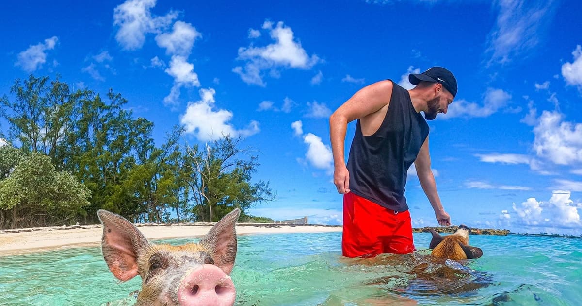 Swimming Pigs Express Tour – 2 Islands, Under 3 Hours