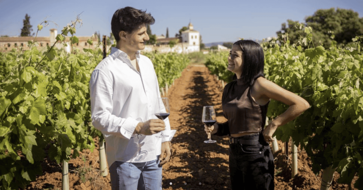 Valencia: tour por bodega Requena con cata de vino y refrigerios