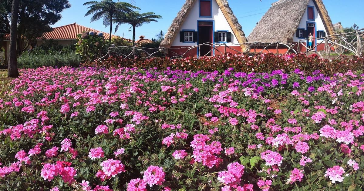 East Coast Heritage Route: Pico do Arieiro y la tradicional Santana