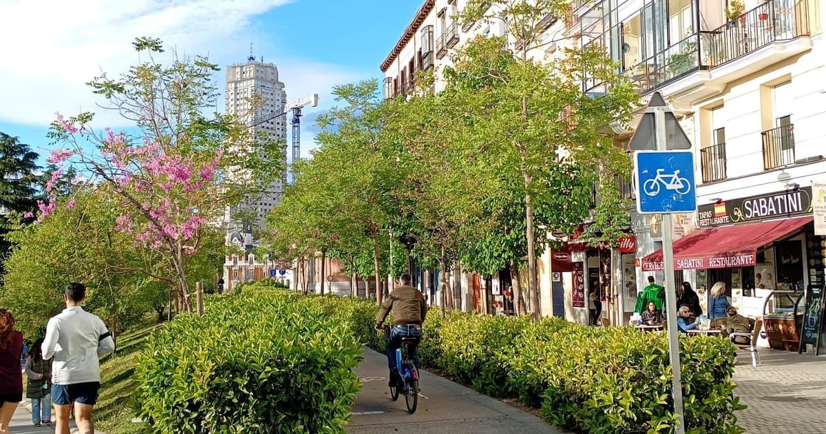 Tour privado en bicicleta por Madrid: monumentos y subculturas