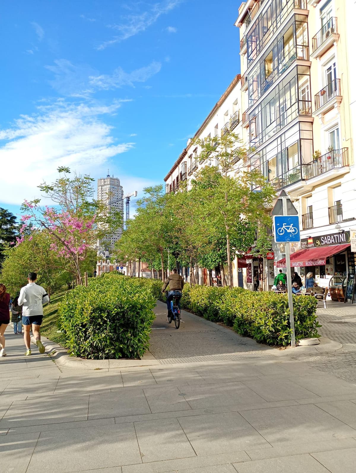 Tour privado en bicicleta por Madrid: monumentos y subculturas