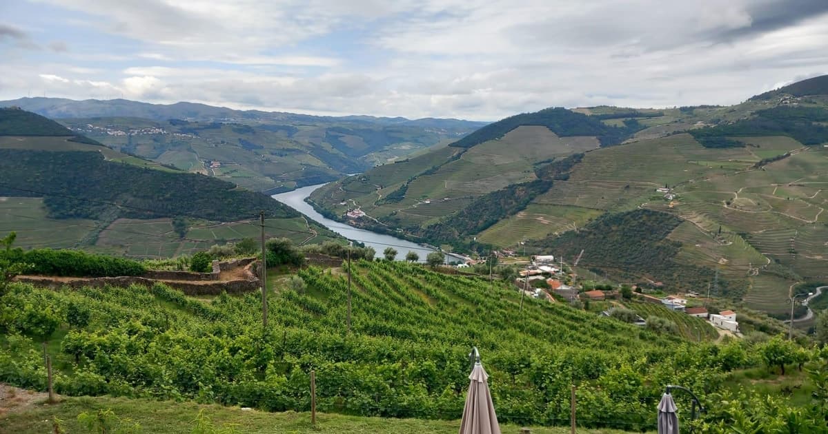 Douro Valley: Full-Day Tour