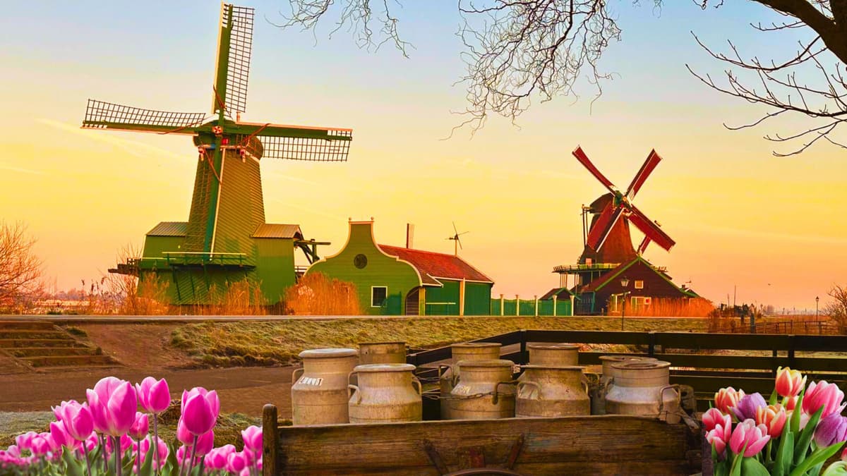 Amsterdam: Giethoorn & Zaanse Schans Small Group Day Trip