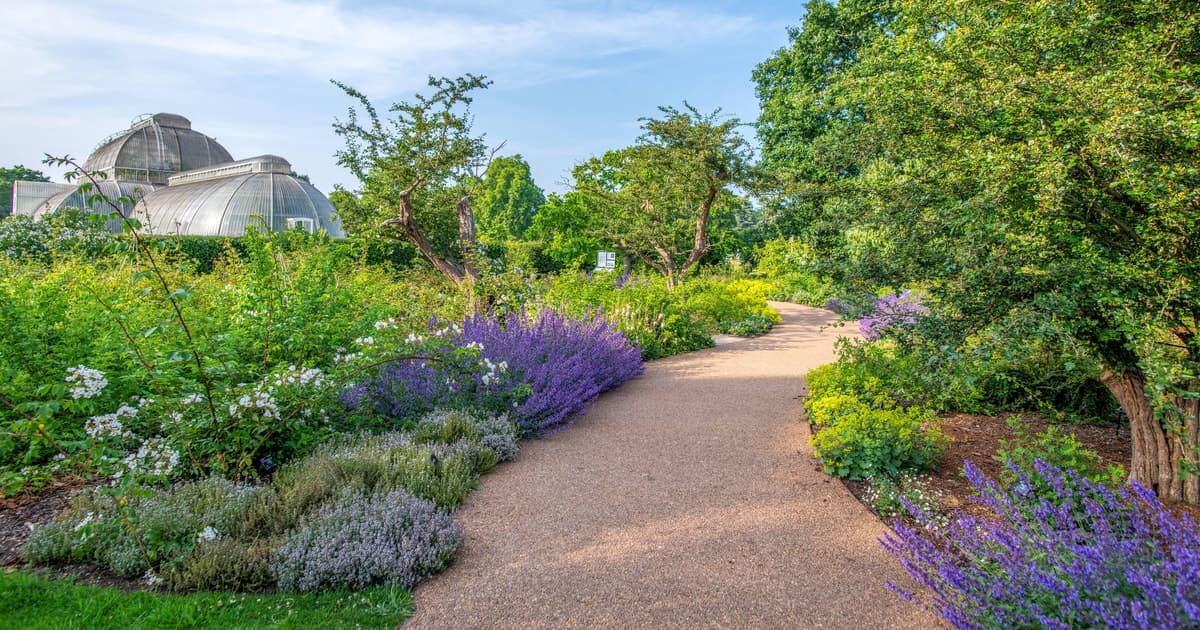 London: Kew Gardens Admission Ticket