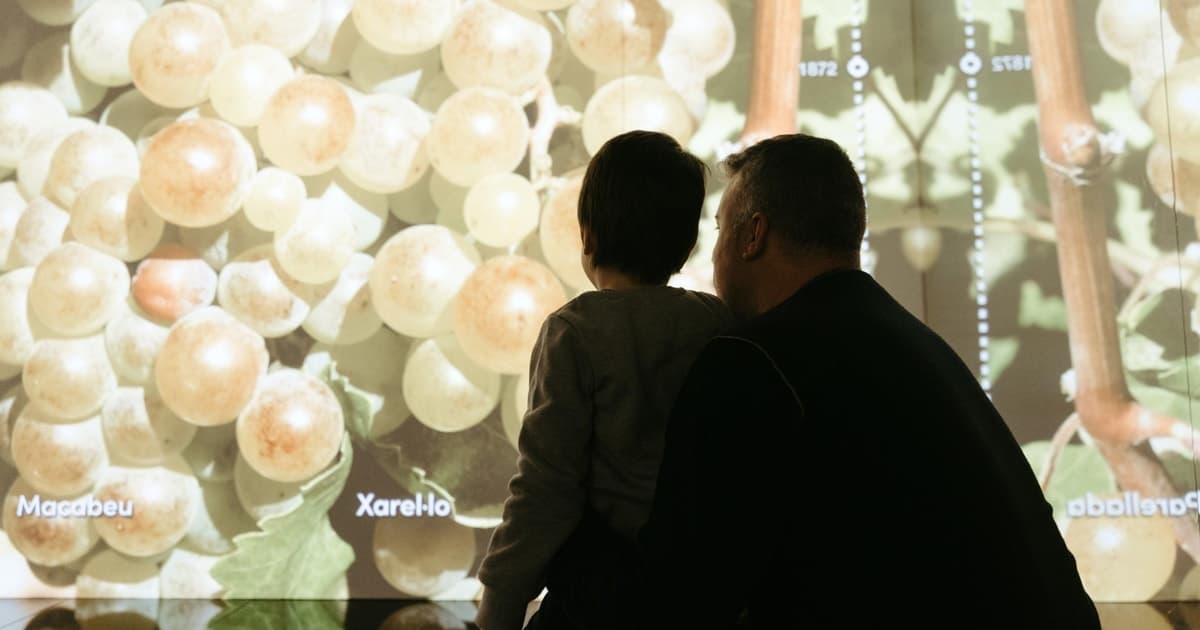 Barcelona: visita al Cava Centre con degustación de cava y queso