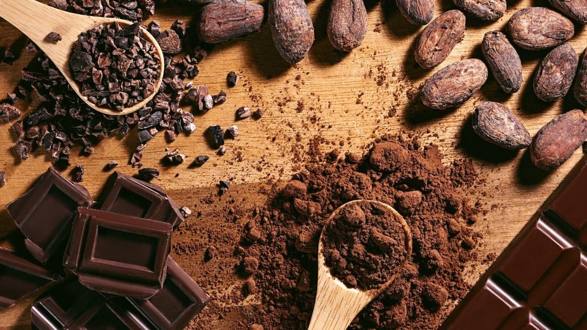 Born Barcelona: Dragon Hunt & Chocolate Workshop Family Tour