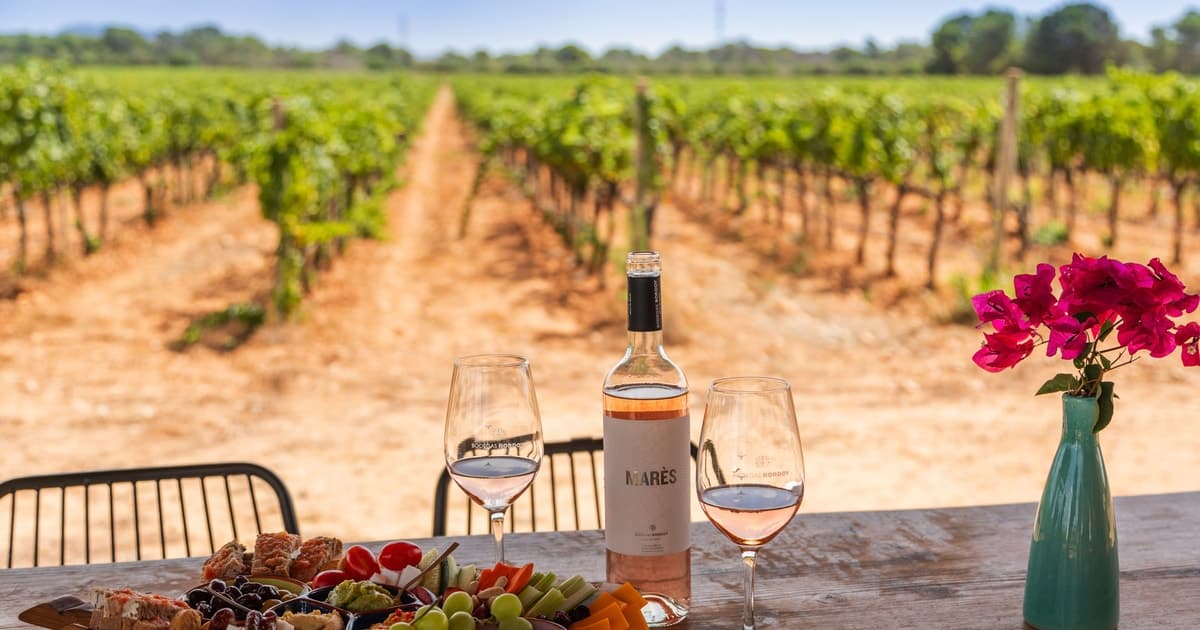 Visita a Bodegas Bordoy, degustación de 5 vinos, finger food