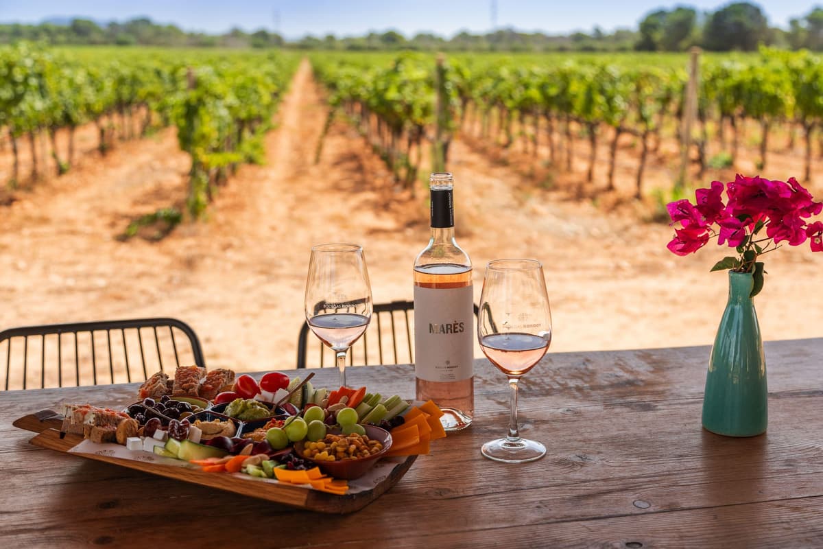 Visita a Bodegas Bordoy, degustación de 5 vinos, finger food
