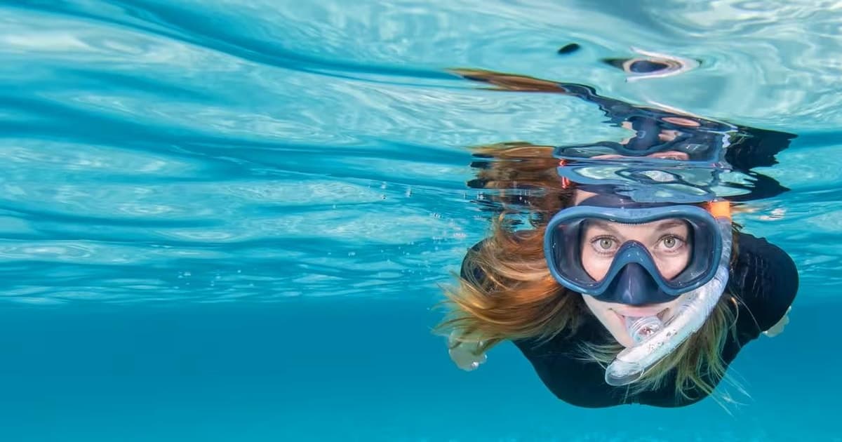 Lisbon: Snorkelling with SSI International Certification