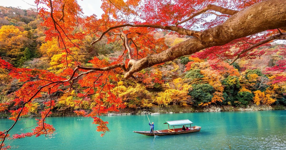From Osaka: Kyoto Temples & Nara Deer Park Small Group Tour