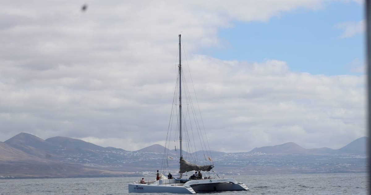 Lanzarote: Avistamiento de ballenas y delfines en catamarán ecológico