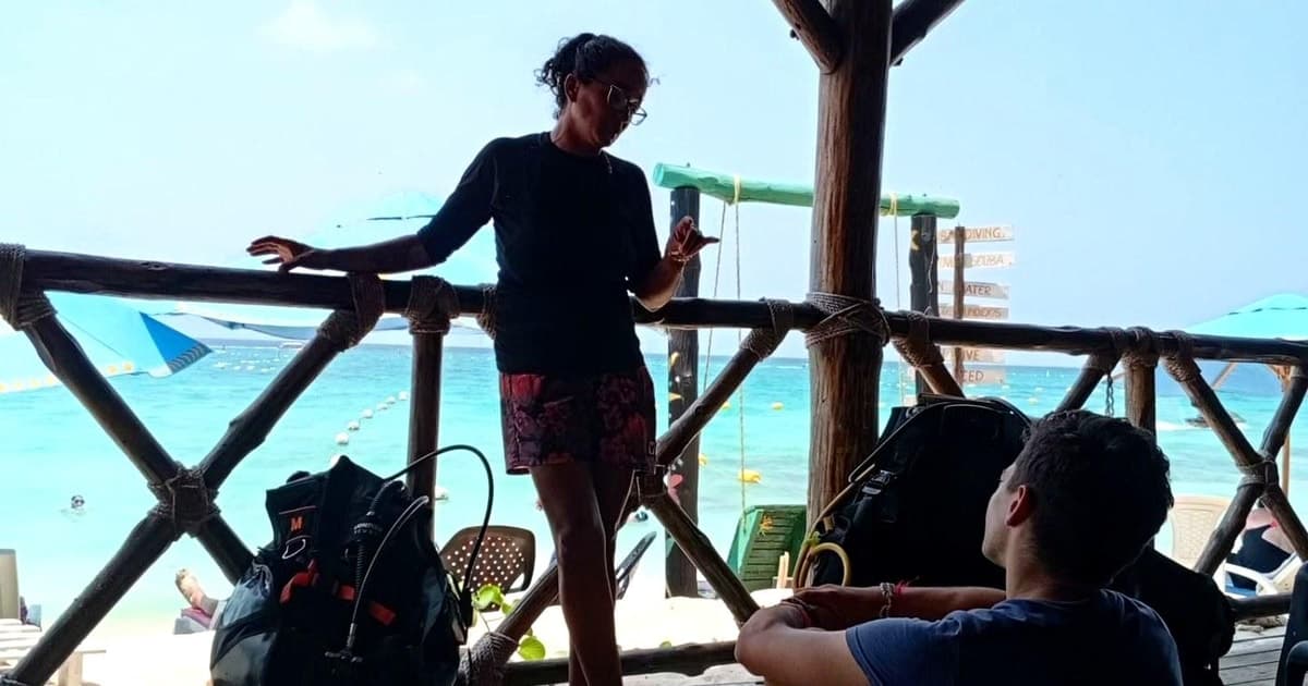 De Cartagena a Barú: buceo para principiantes + clase PADI (10+)