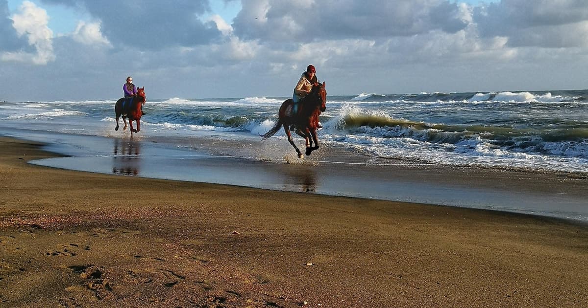 Rome on Horseback : Ancient Ostia & the beach with Aperitif