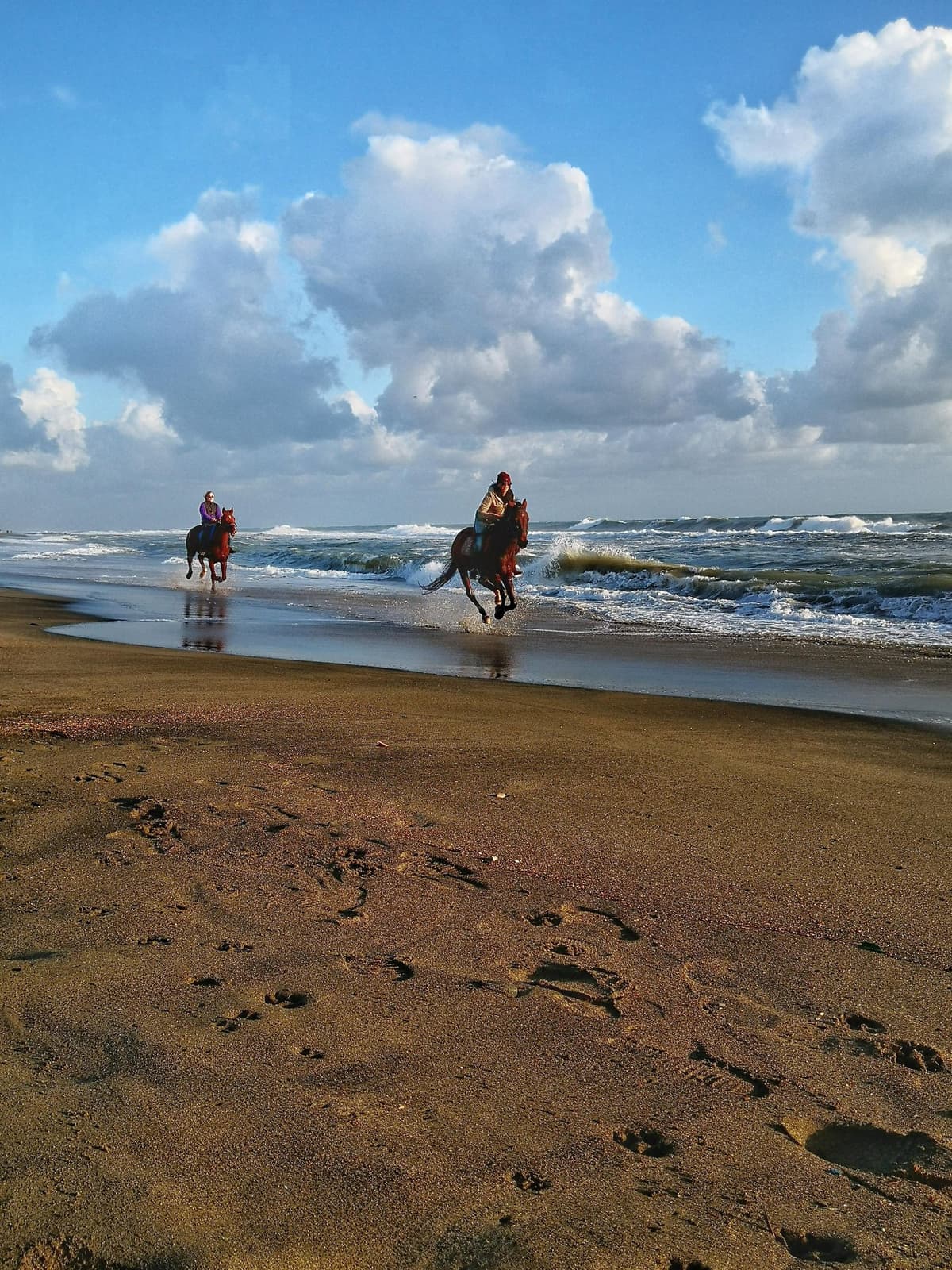 Rome on Horseback : Ancient Ostia & the beach with Aperitif