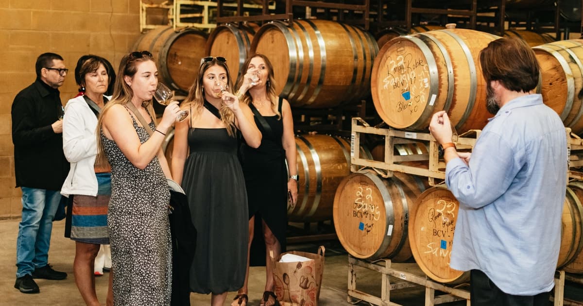 San Francisco: Napa & Sonoma Full-Day Wine Tour and Tastings