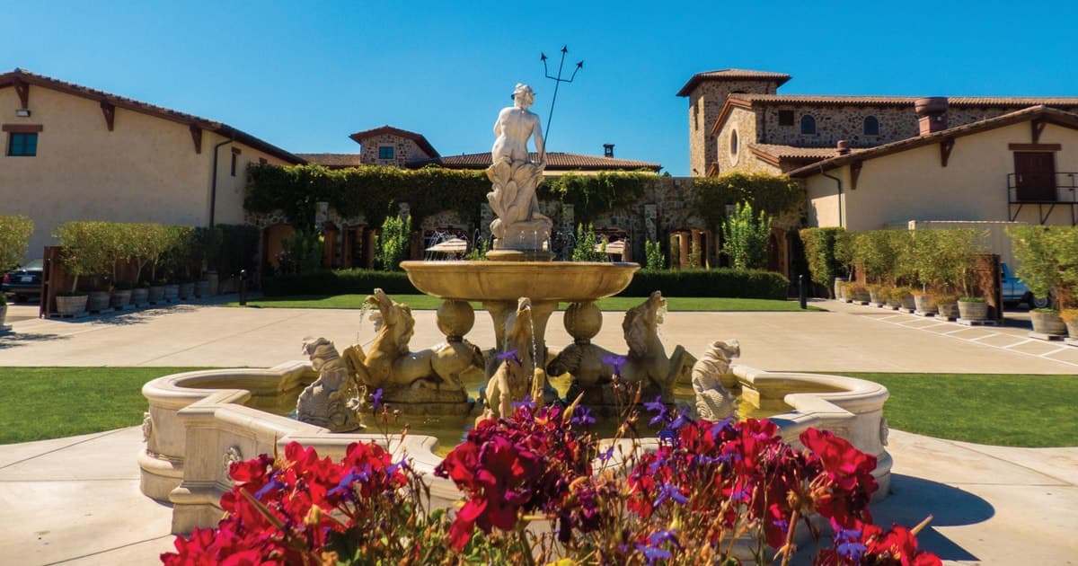 San Francisco: Half-Day Wine Country Tour with Wine Tastings