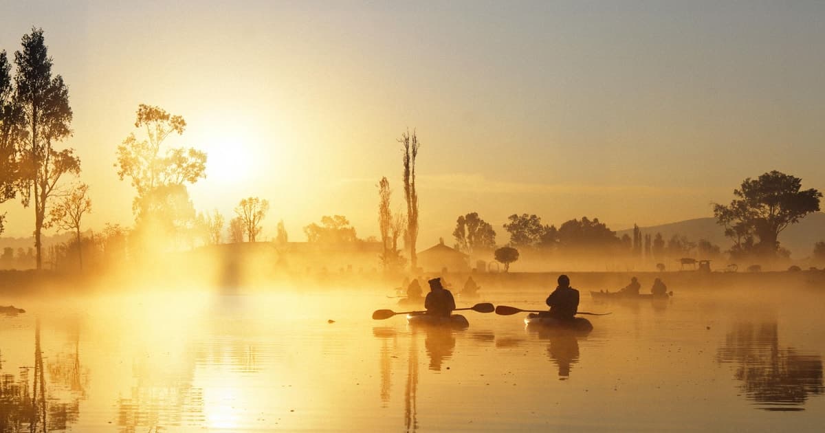 Xochimilco: tour al amanecer en kayak o trajinera