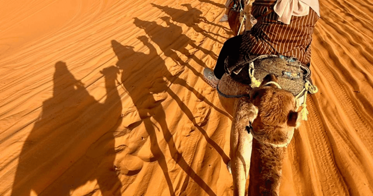 Desde Marrakech: tour de 3 días por el desierto del Sahara y paseo en camello