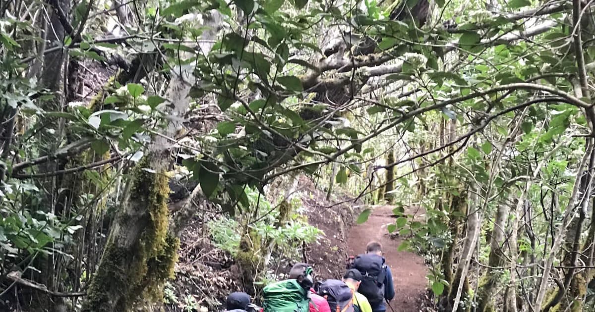 Tenerife: senderismo en Anaga, bosque mágico, Reserva de la Biosfera