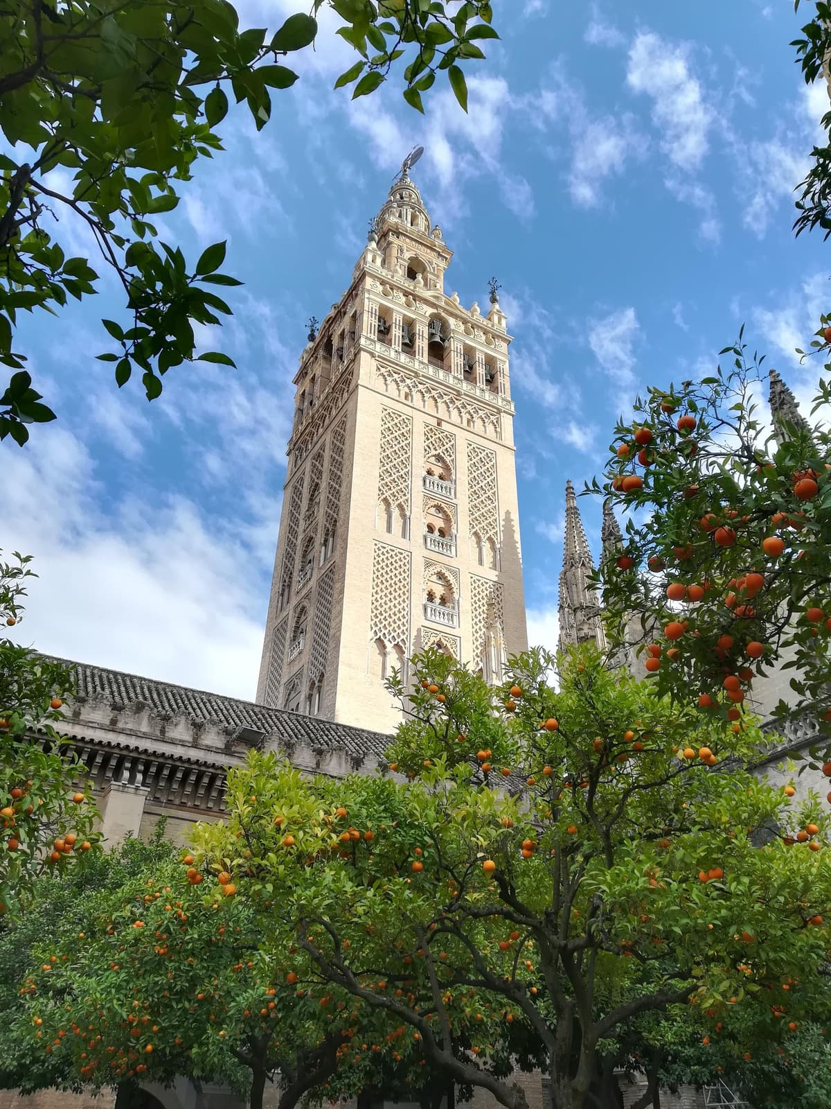 Seville: Fast Track Cathedral + Giralda Tower