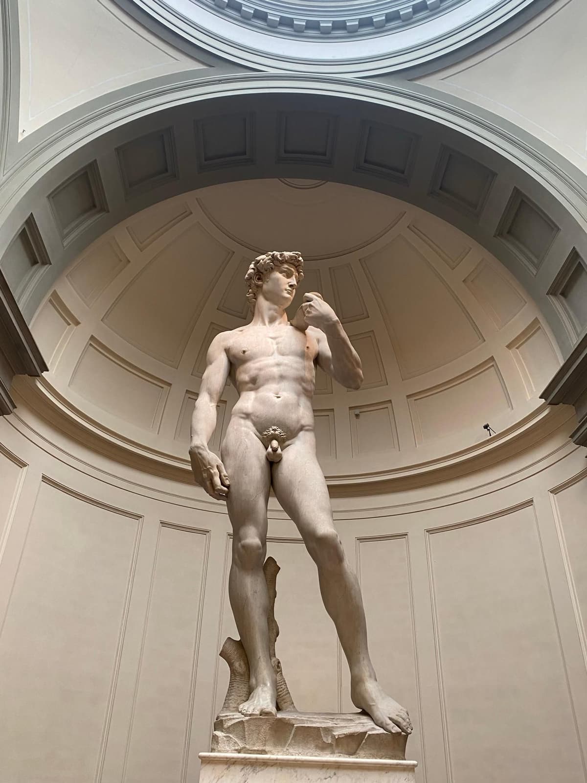 Florence: Accademia Gallery Private Guided Tour
