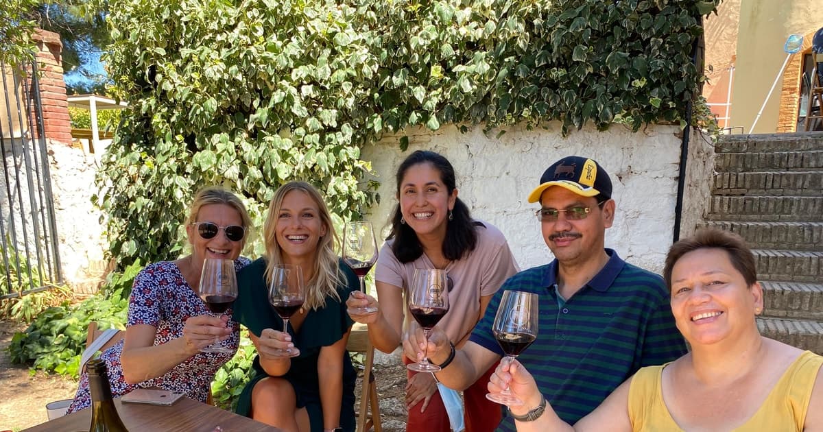 Tour por la región vinícola de Valencia: 2 bodegas, almuerzo y vinos Bobal