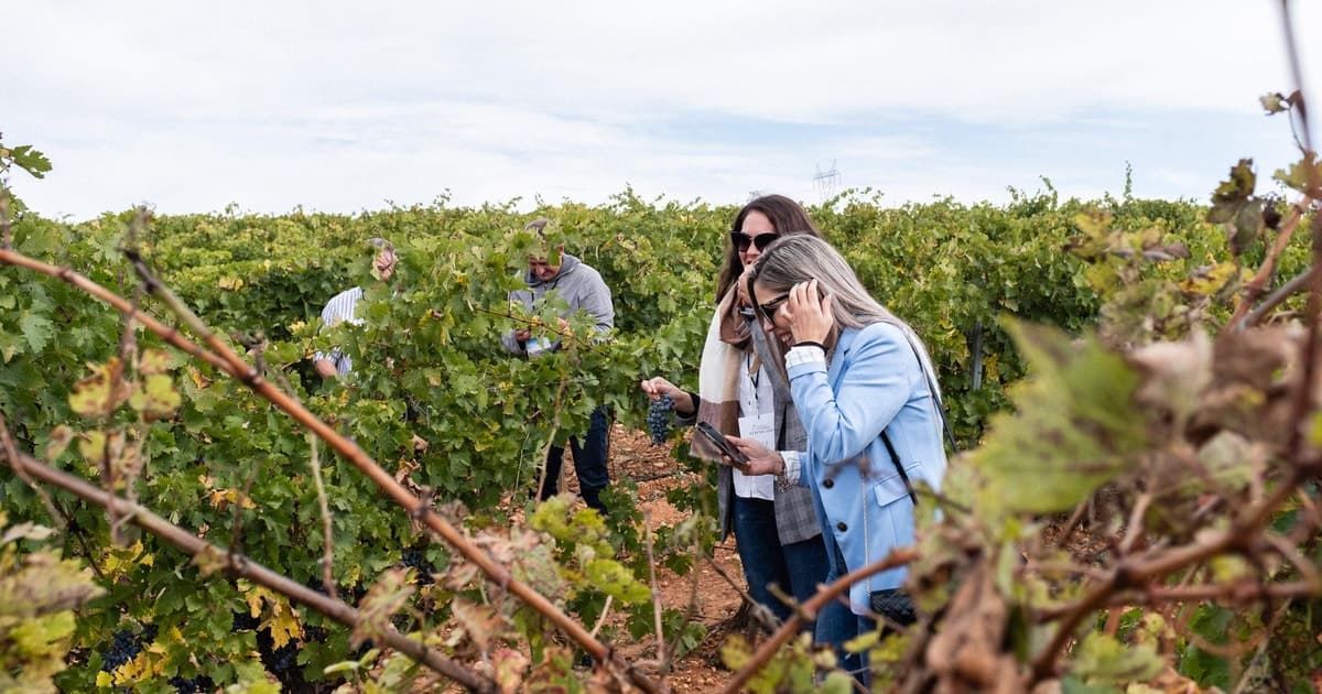 Valencia: cata de vino prémium y almuerzo gastronómico de 3 platos