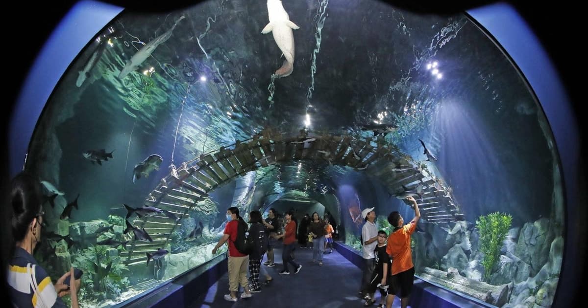 Lotte World Aquarium Hanoi: Entry Ticket