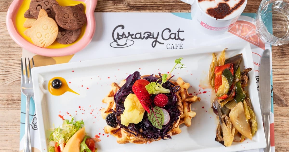 Brunch entre gatos a base de gofres salados en Milán